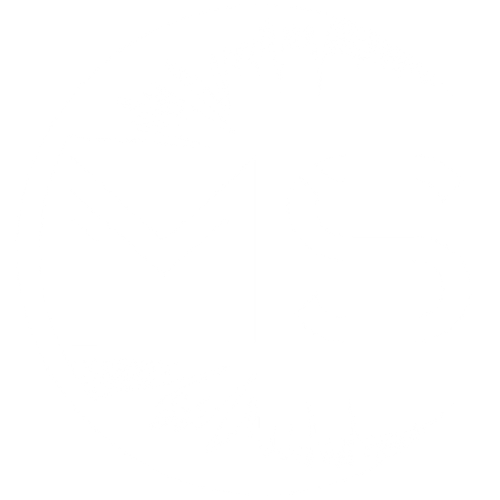 Mathieu Schmidt Logo